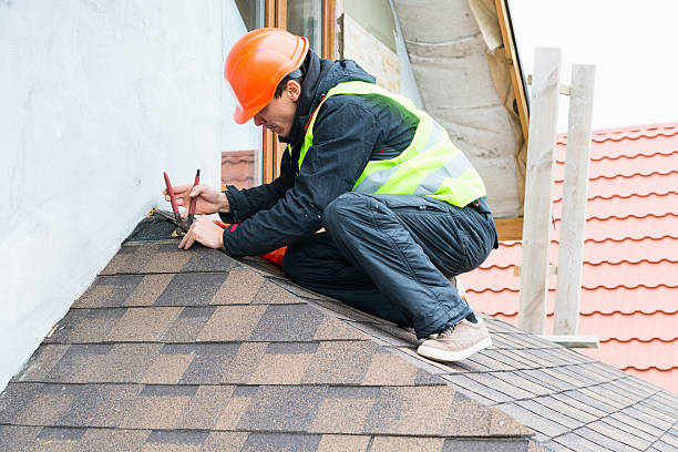 Best Roof Gutter Cleaning  in Tolono, IL